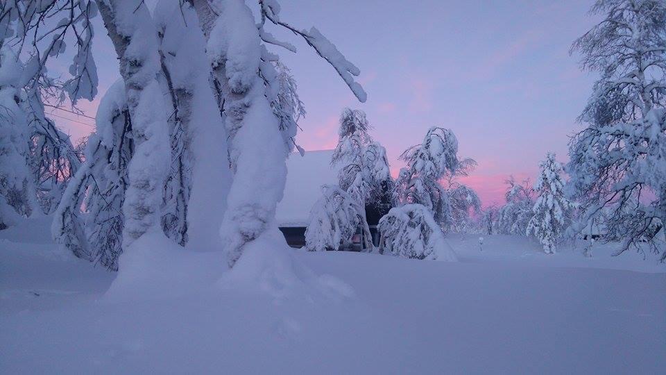 Leppäjärvi Galdotieva-Seo 빌라 외부 사진